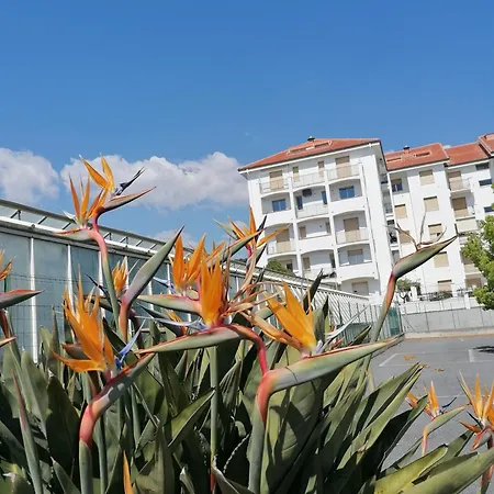 Alloggio Con Terrazza Mare Verde